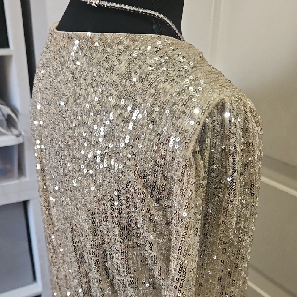 Gianni Bini Silver Sparkle Date Night Girls Night Fabulous Dress - Picture 11 of 12